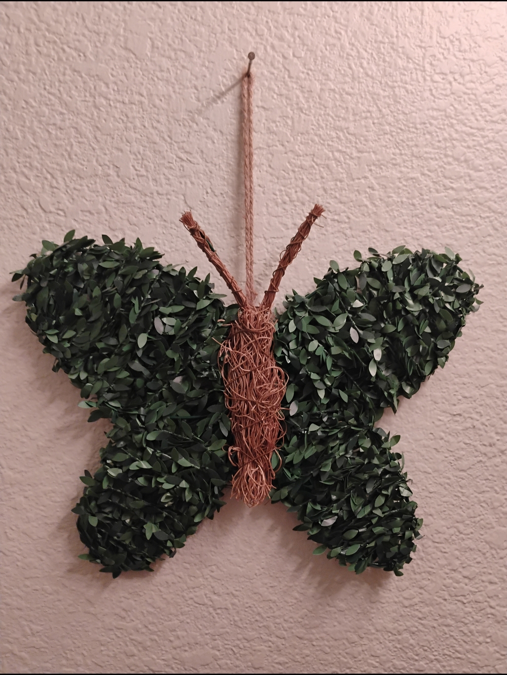Green Leaf Butterfly Wall Hanging with Woven Twig Body